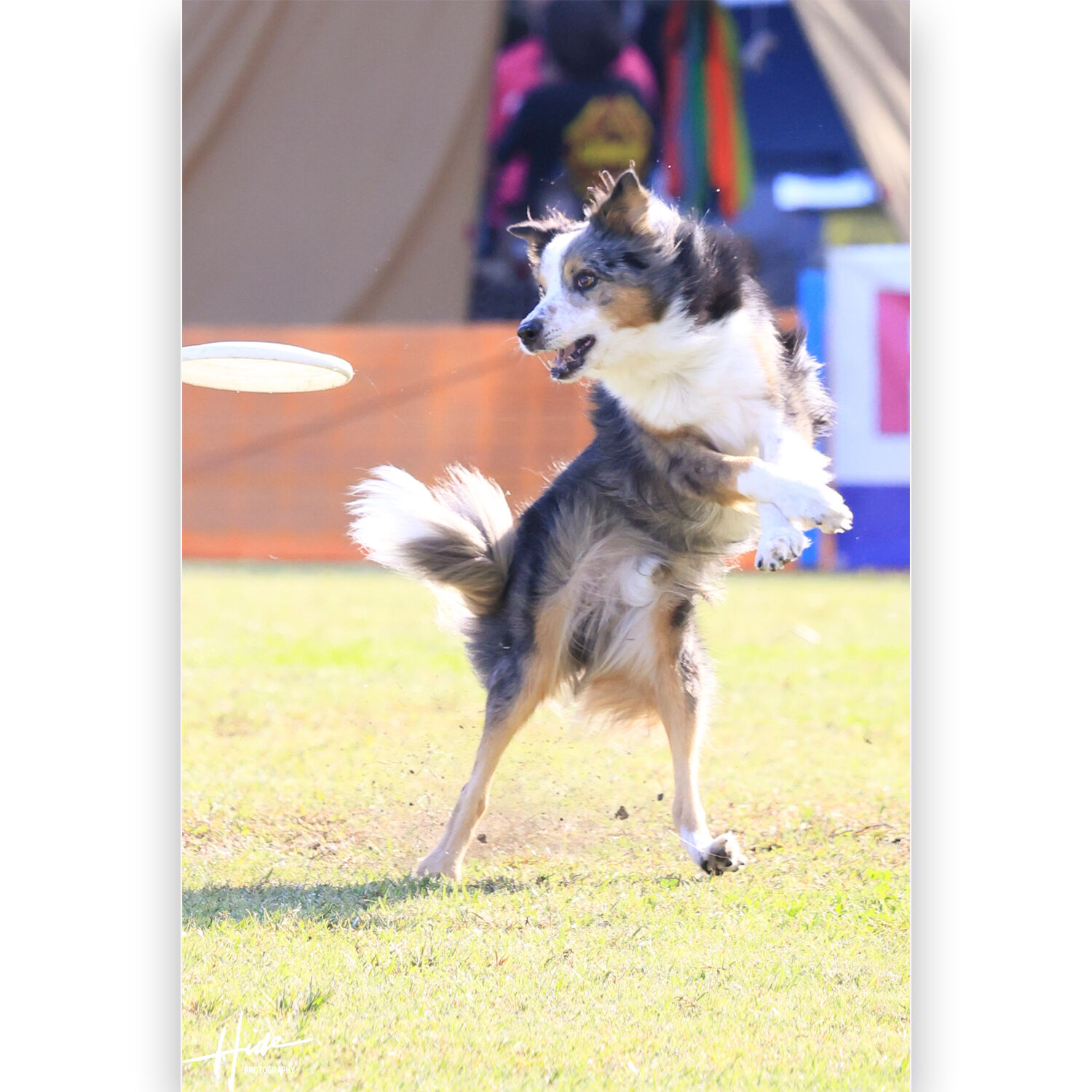 八犬伝を観ました。