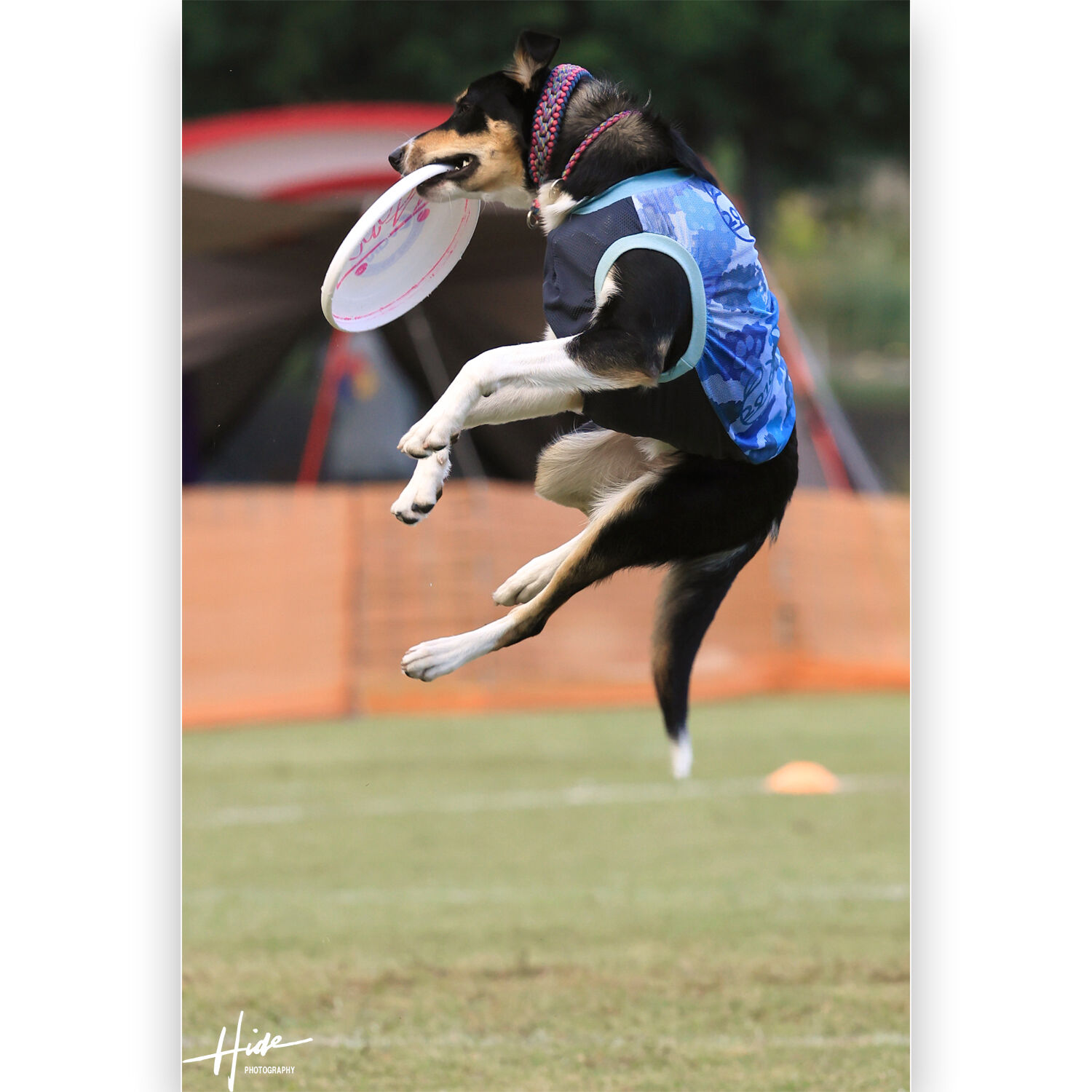 八犬伝を観ました。