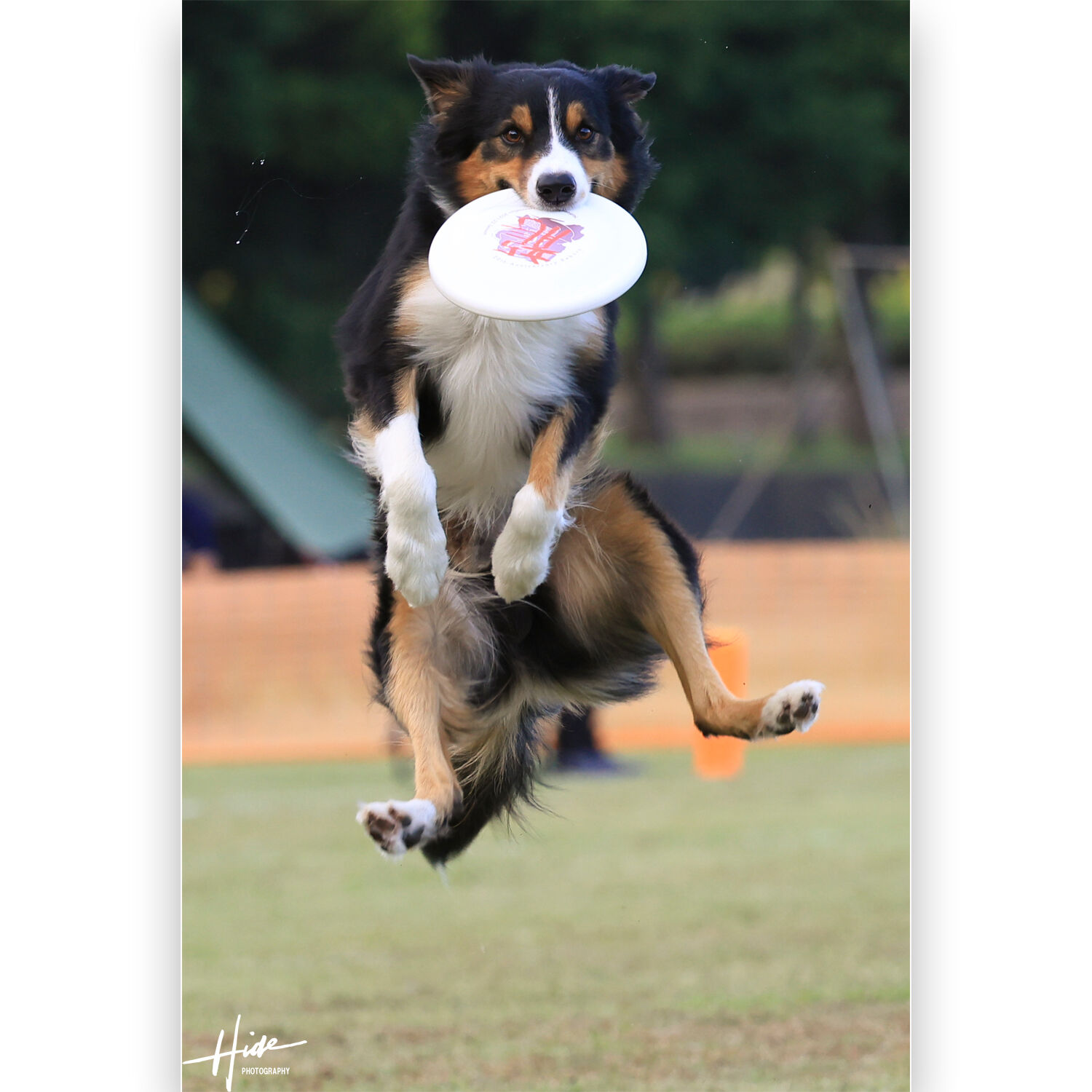 八犬伝を観ました。