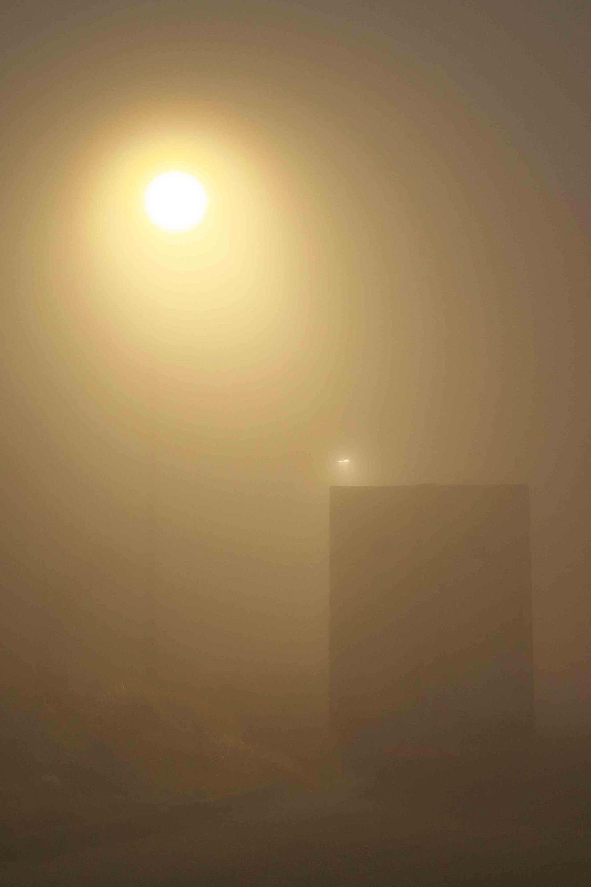 深い霧の中帰宅しました。