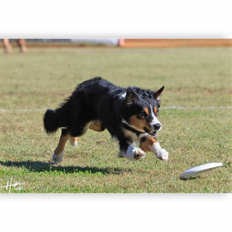 5日に撮影した写真の編集が間に合っていません。