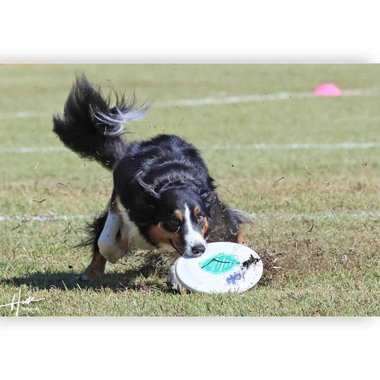 5日に撮影した写真の編集が間に合っていません。