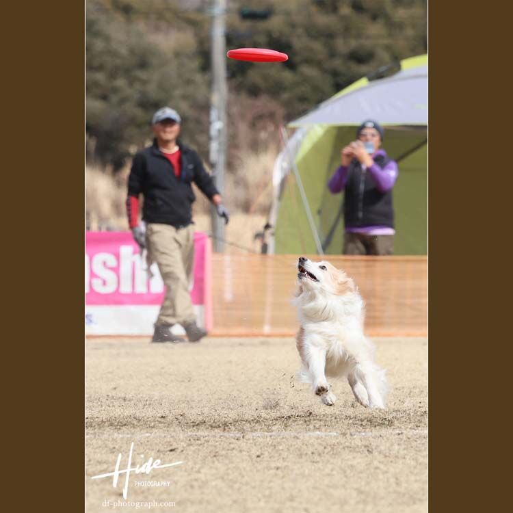 PlyZ  グランドファイナルが静岡県富士宮市で解されていました。