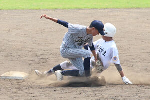 高校野球静岡県大会の出張撮影をしてきました。静岡のワンコカメラマン