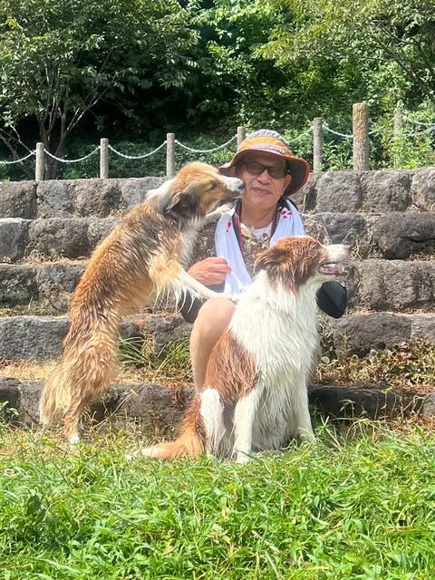 ワンコたちと水遊びをしてきました。静岡のワンコカメラマン