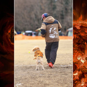 走る姿は愛そのもの。愛犬と「一緒に」写るということ。